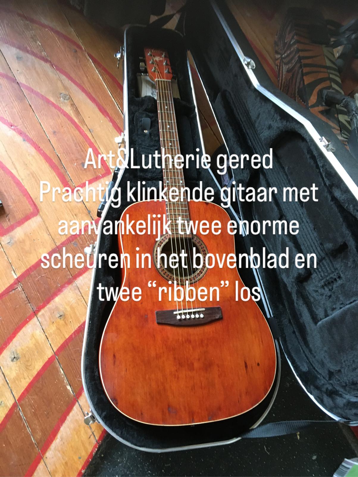 Canadese Arth & Lutherie gitaar